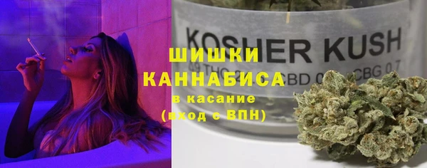 гидропоника Лагань