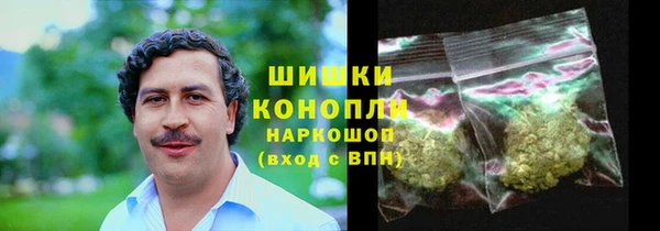 гидропоника Лагань