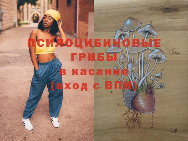 гидропоника Лагань