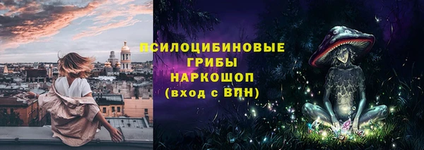 гидропоника Лагань