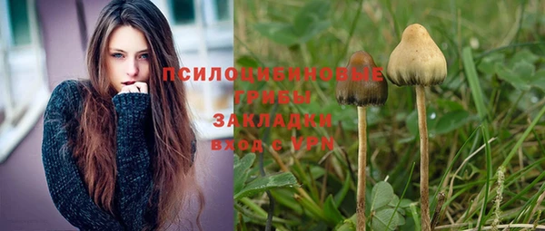 гидропоника Лагань