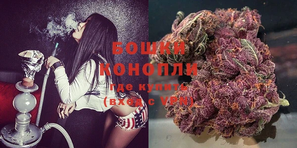 spice Ладушкин