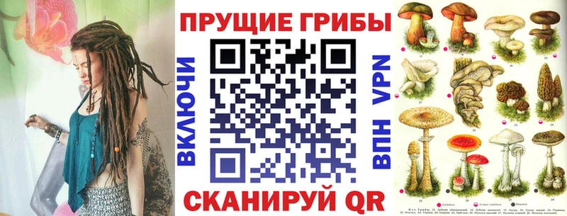 Псилоцибиновые грибы Psilocybe  Новосибирск 
